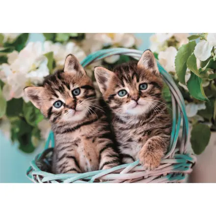 Clementoni Puzzle 60 dílků SuperColor Rozkošná koťátka dvojčata Kitty 26599