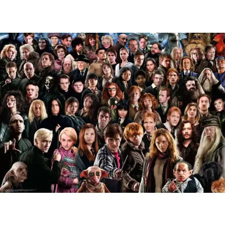 Puzzle Challenge: Harry Potter 1000 dílků