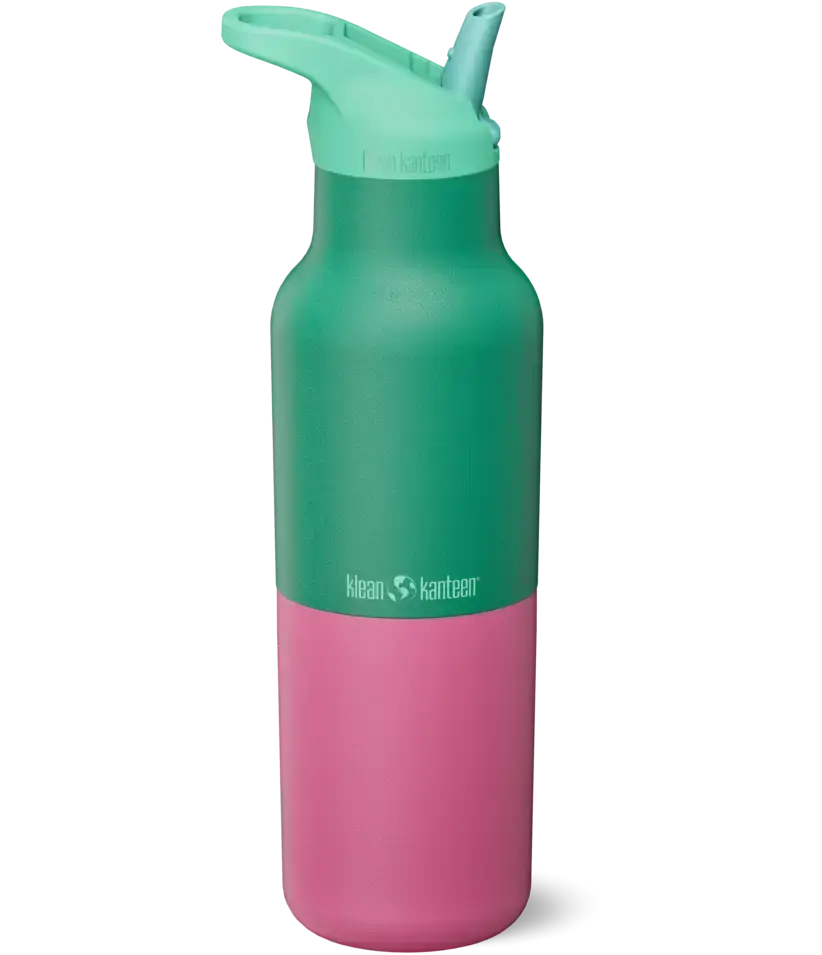 Termolahev Klean Kanteen Rise Vac Classic 16oz (w/ Flip Seal Cap) - Parakeet Kaleidoscope uni