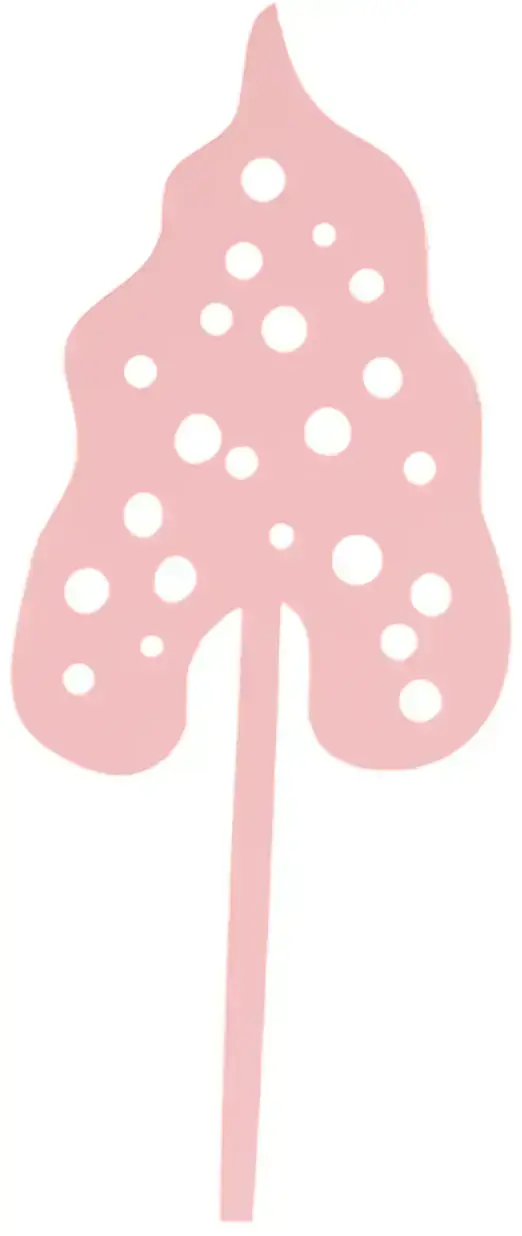Květina Milin List Begonia uni