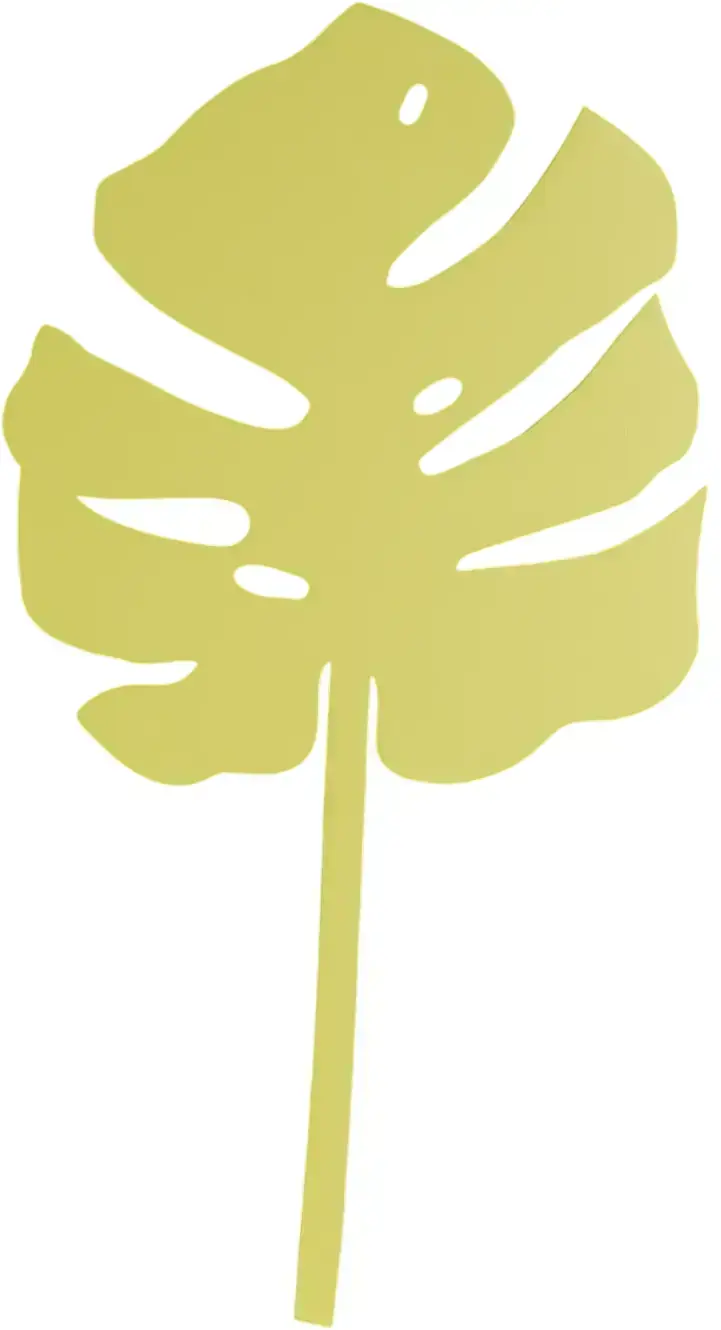 Květina Milin List Monstera uni