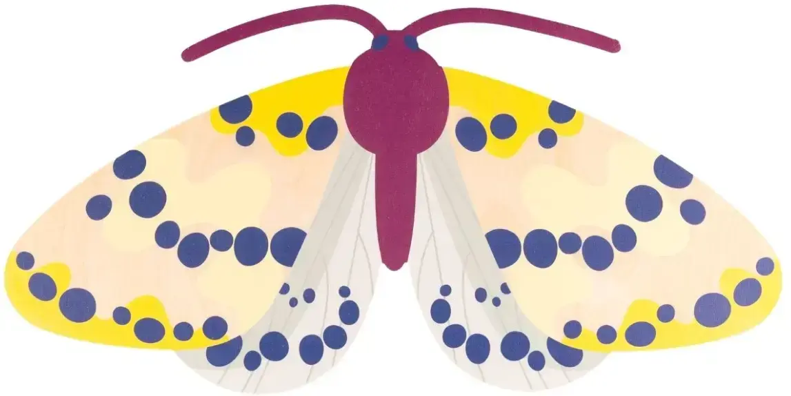 Ozdoba na zeď Milin Magpie Moth uni