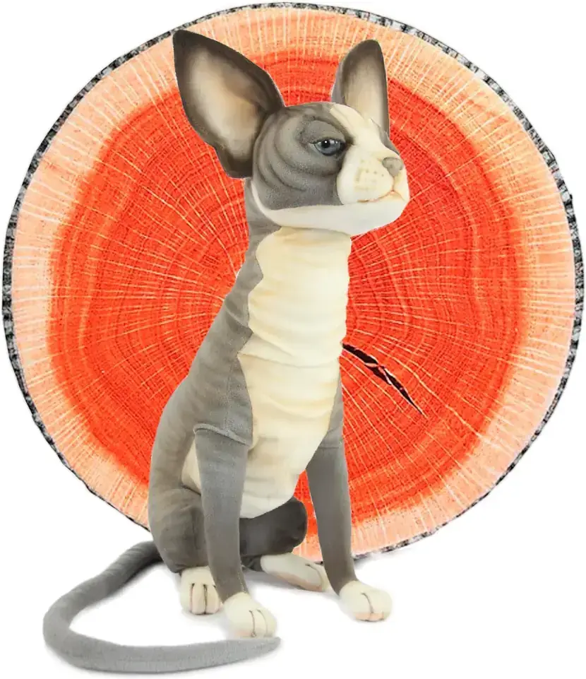 Dětská plyšová hračka Hansa Creation - Kočka sphynx šedobílá 34 cm uni