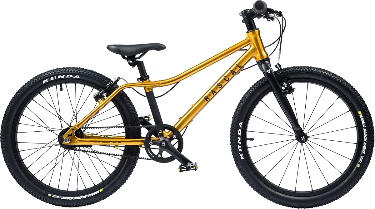 Dětské kolo Rascal 3sp Archer 20"- gold uni