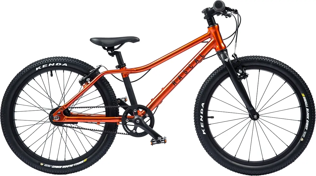 Dětské kolo Rascal 20 Flame (oranžová) Barva: oranžová