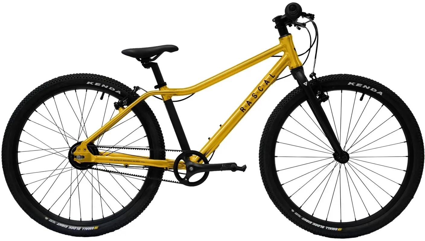 Dětské kolo Rascal 7sp Nexus 24"- gold uni