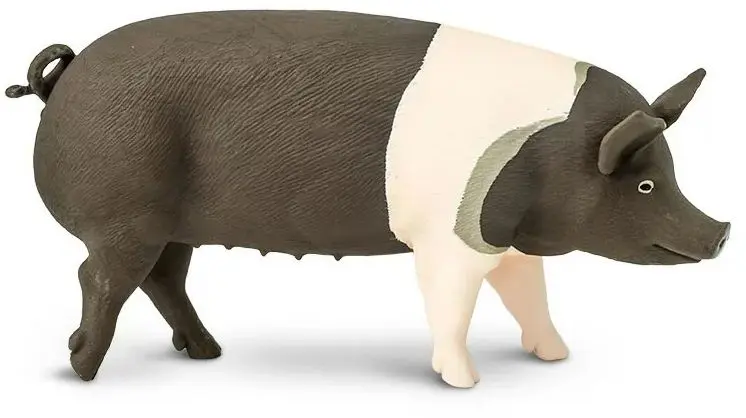 Figurka Safari - Prase Hampshire uni