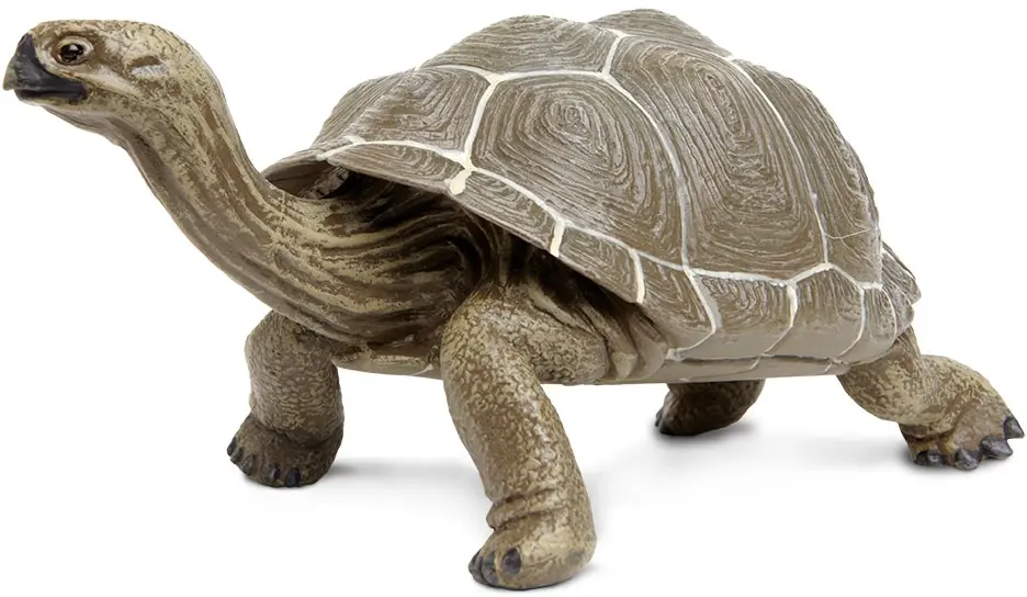 Figurka Safari Želva galapážská uni