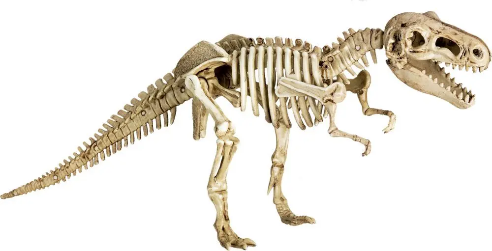 Dinosauří vykopávka Spiegelburg - Tyrannosaurus Rex