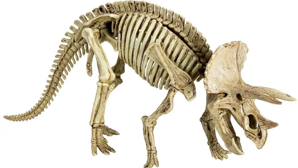 Dinosauří vykopávka Spiegelburg - Tyranosaurus Rex uni