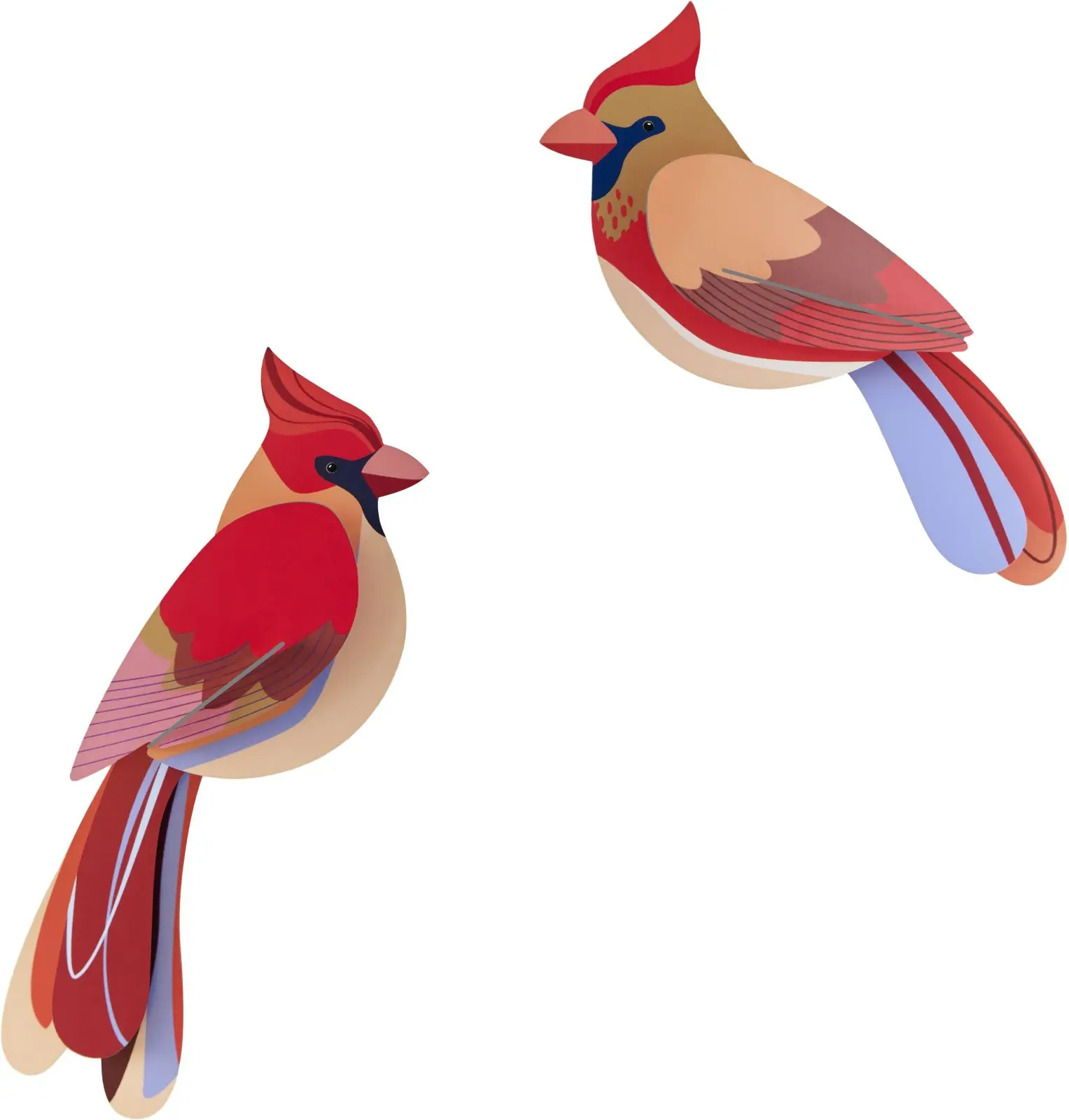 Nástěnná dekorace Studio Roof - Cardinals uni