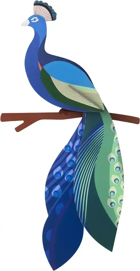 Nástěnná dekorace Studio Roof - Peacock uni
