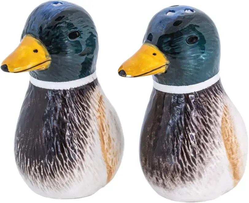 Solnička a pepřenka Sass and Belle Mallard Duck Salt & Pepper Shakers uni