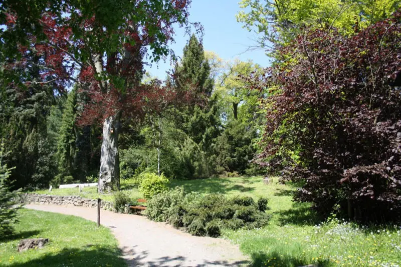 Arboretum Bílá Lhota - Národní přírodní památka - Arboretum Bílá Lhota - individuální prohlídka