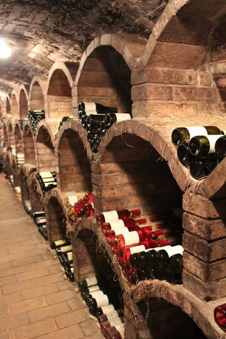 Řízená degustace Modrohorských vín
