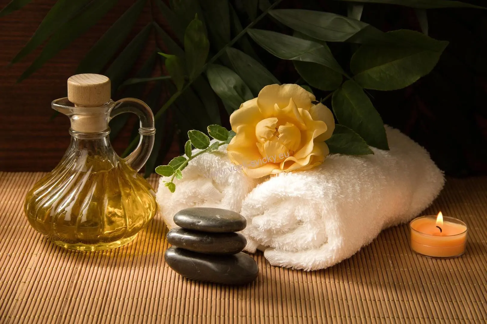 Apiterapeutické masáže - léčba včelími produkty - VIP Včelí relax pro královnu / krále