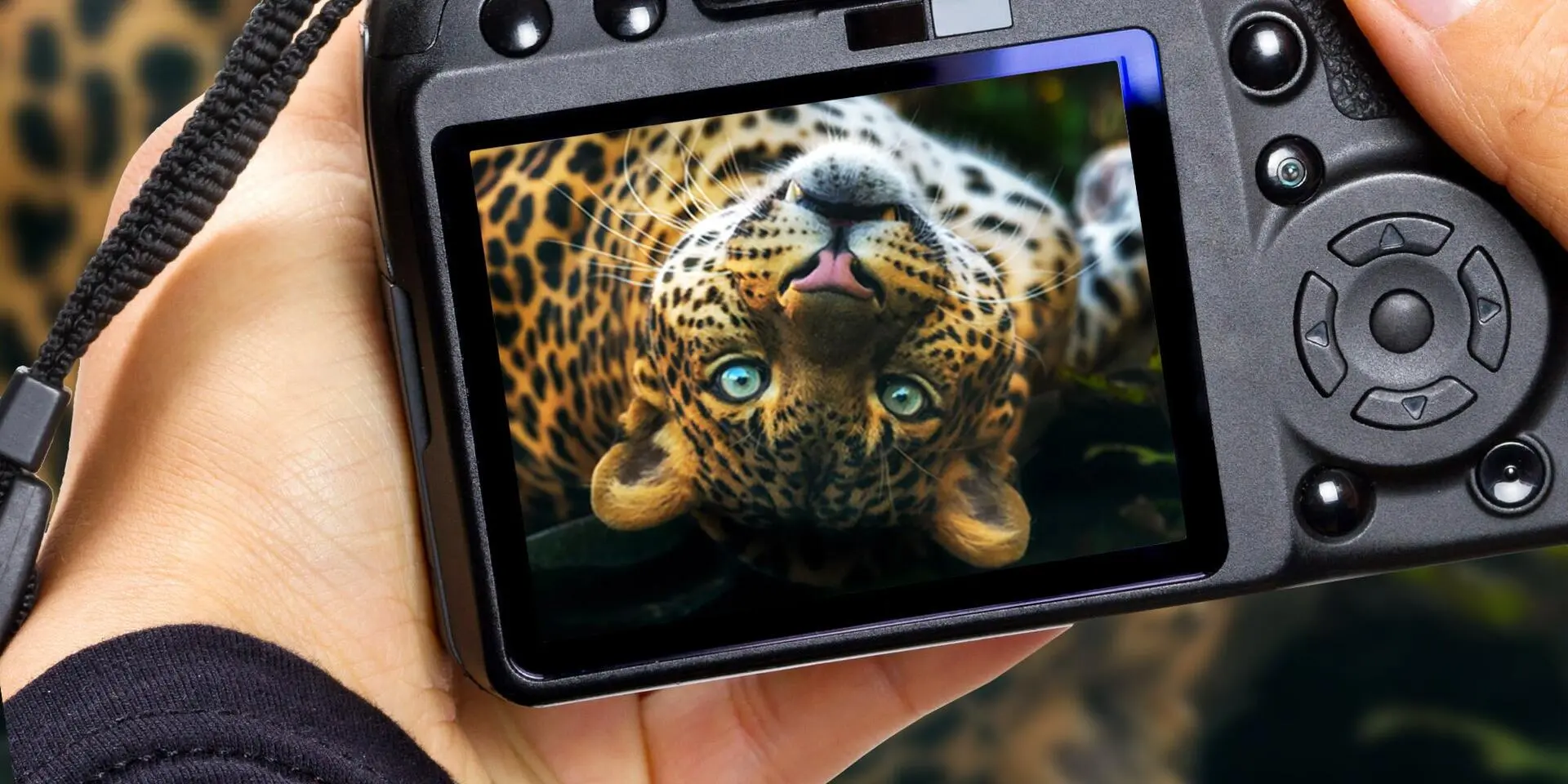 Fotografický kurz v českých Zoo s profíkem Patrikem Staňkem