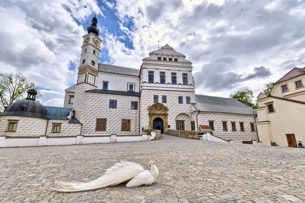 Venkovní úniková hra - Pardubice