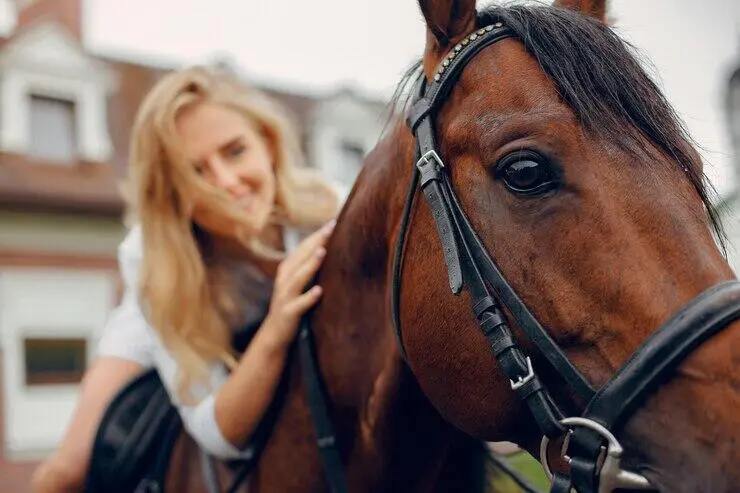 Hodina na statku Bezdědice - vyjížďka vč. krmení koní a hříbat