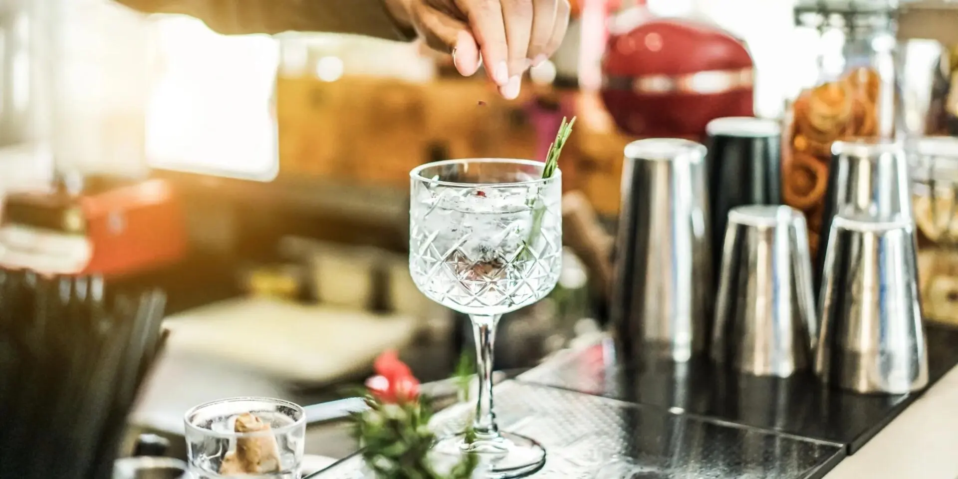 Gin&Tonic - řízená degustace s odborným výkladem
