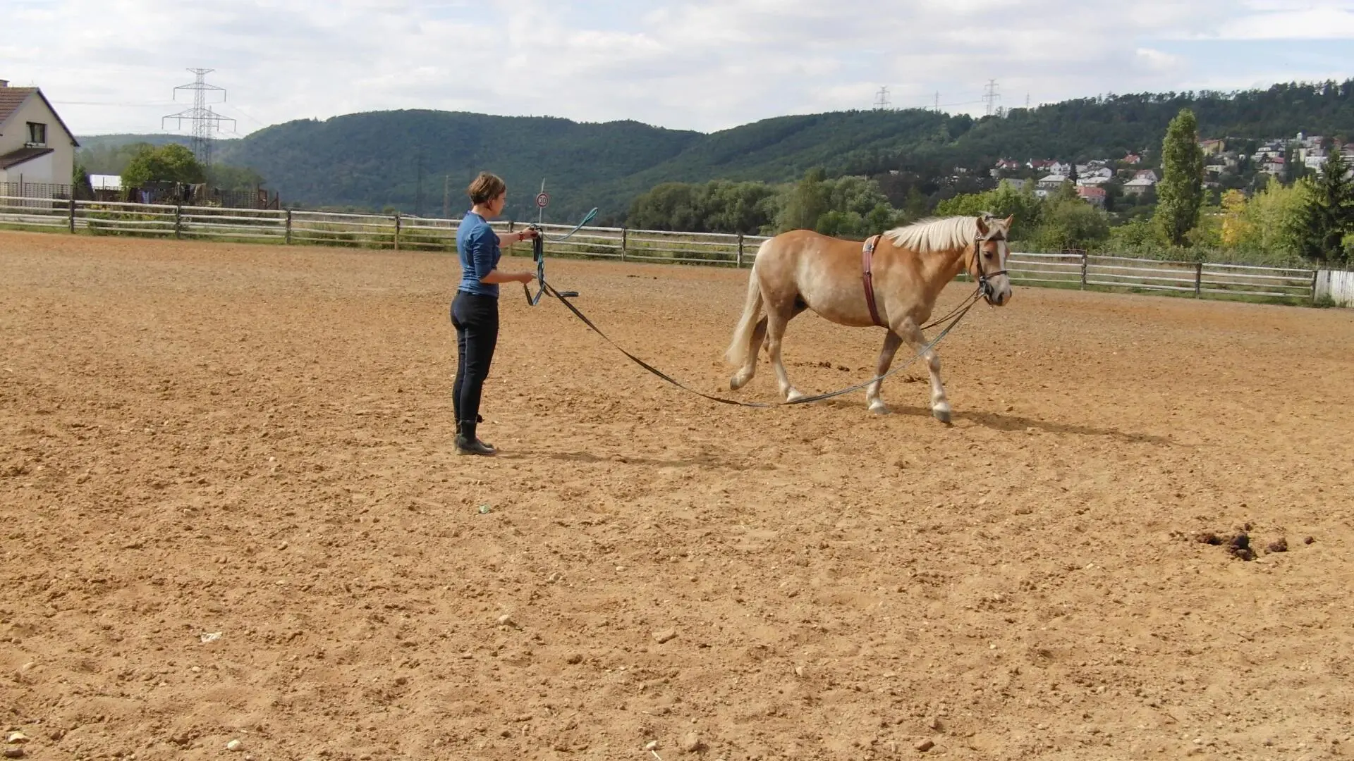 Práce ze země – komunikace a důvěra s koněm
