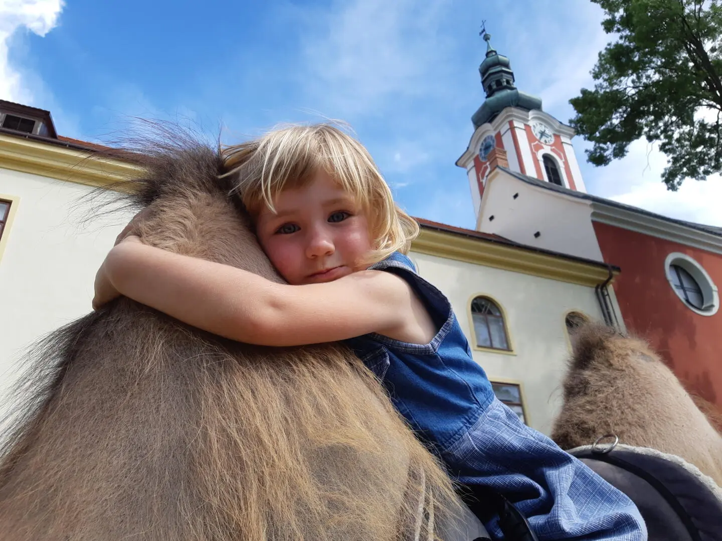 Návštěva velbloudí farmy Záhostovice - veselé povídání o velbloudech a lamách