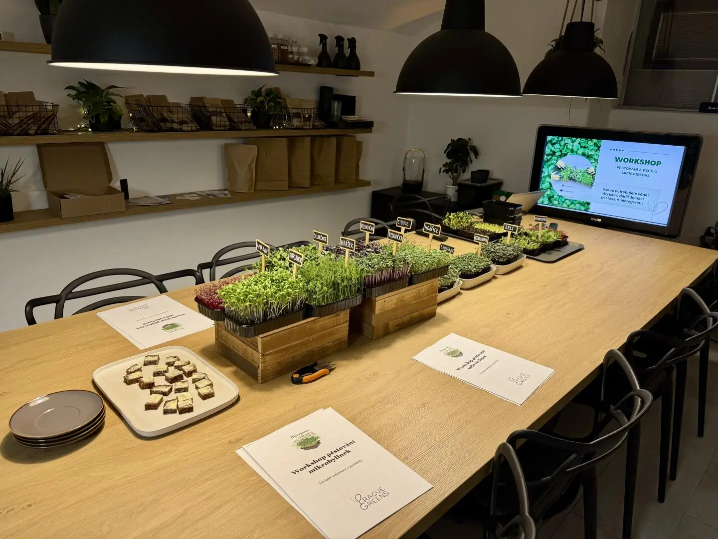 Workshop pěstování mikrobylinek - od výběru správných semínek až po sklizeň