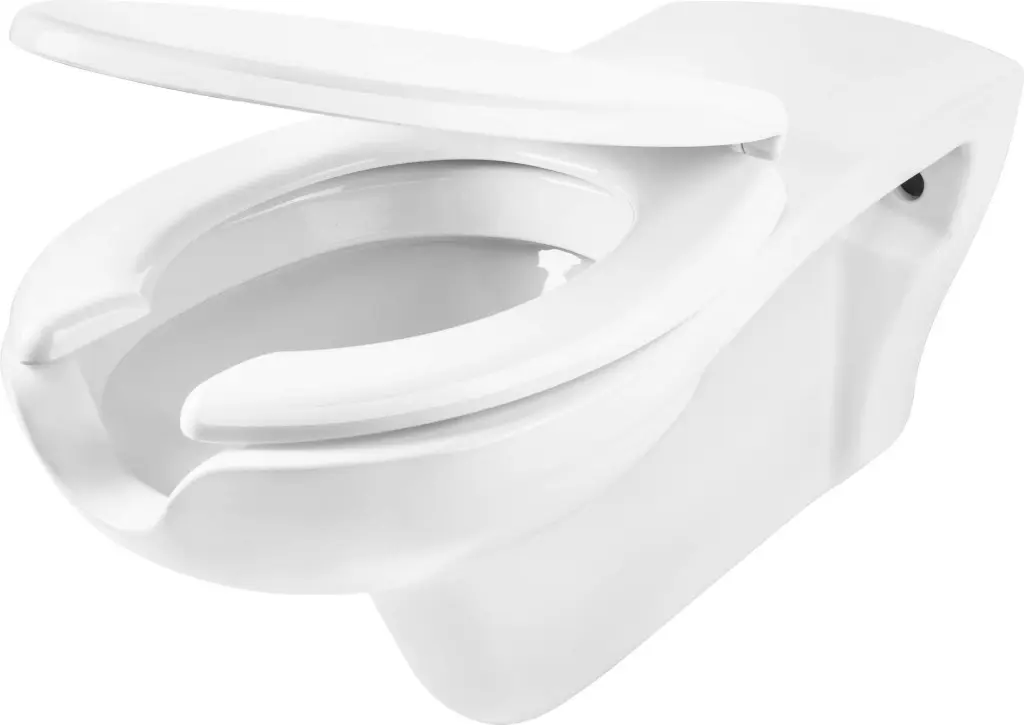 Deante Závěsný WC komplet Vital pro osoby se sníženou pohyblivostí CDVD6WPW, včetně SoftClose sedátka