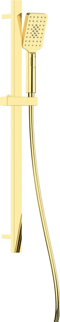DEANTE Alpinia gold Sprchový set, 3-funkční, s posuvnou tyčí NGA_Z52K