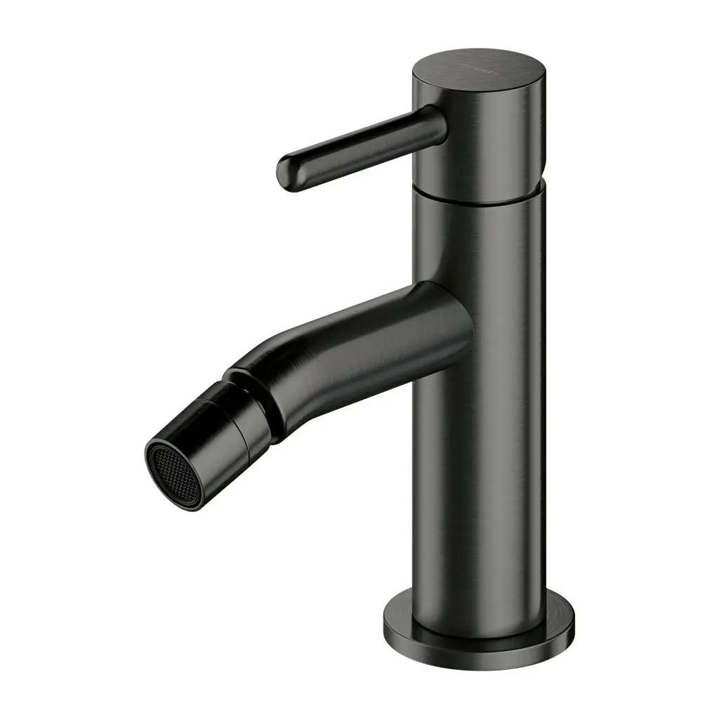 OMNIRES Y - Bidetová baterie, kartáčovaný grafit Y1220GR