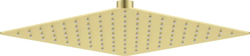 DEANTE Cascada kartáčované zlato Sprchová hlavice 250x250 mm NAC_R02K