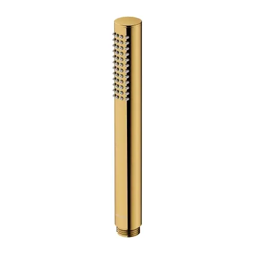 OMNIRES Ruční sprcha, zlatá MICROPHONEX-RGL