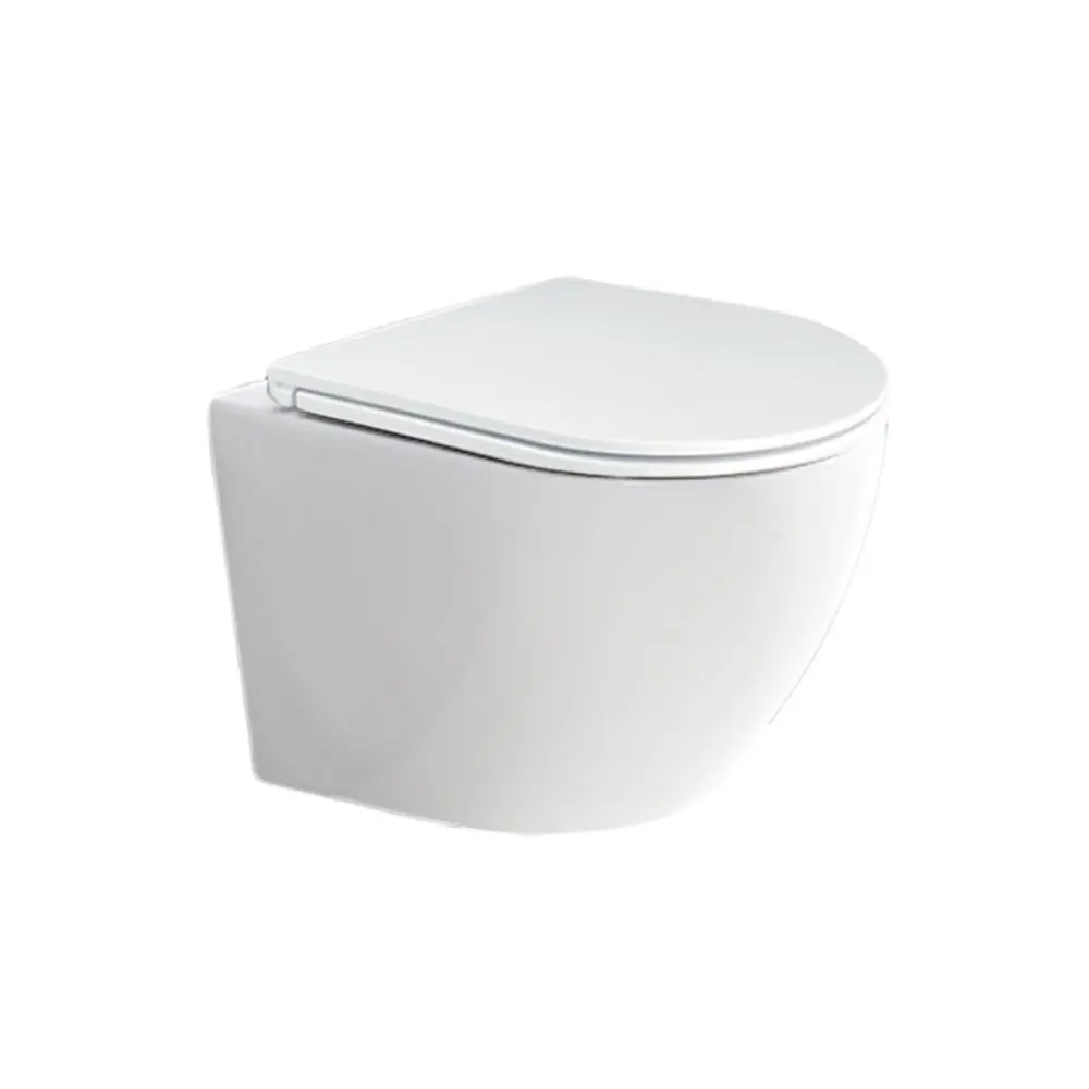 Mereo WC závěsné kapotované, RIMLESS, 490x370x360, keramické, vč. sedátka CSS123 VSD82S
