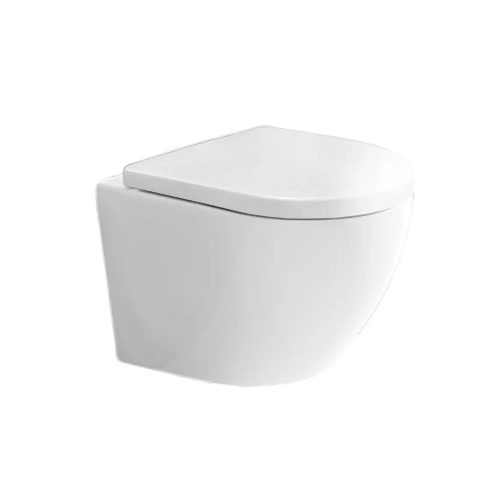 Mereo WC závěsné kapotované, RIMLESS, 490x370x360, keramické, vč. sedátka CSS126 VSD82S2