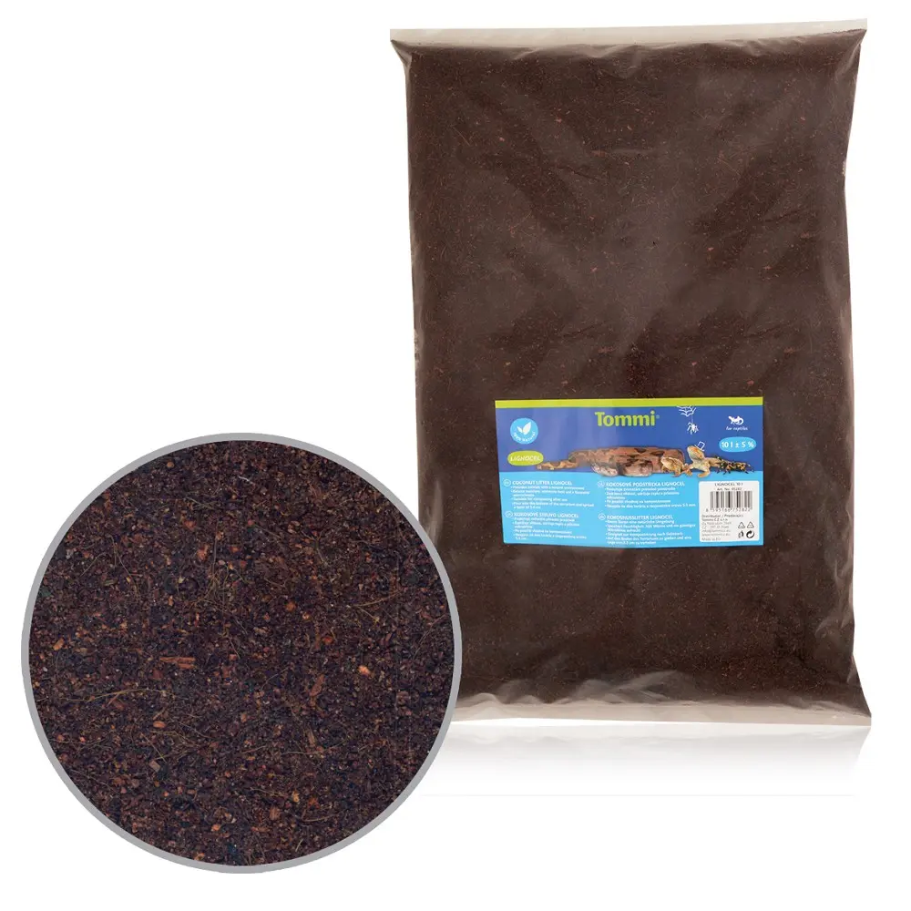 Tommi Lignocel, 10l