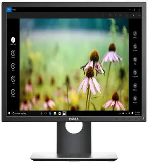 19" DELL Professional P1917S