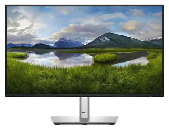 23.8" DELL P2425H černá