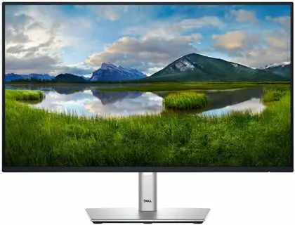 23.8" DELL P2425HE Professional