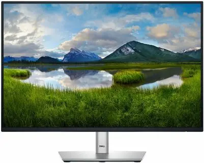 24.07'' DELL Professional P2425