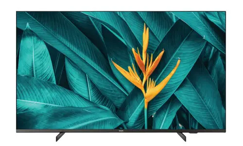 55" PHILIPS 55HFL5214