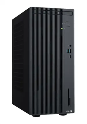 ASUS ExpertCenter P500MV-C516512X