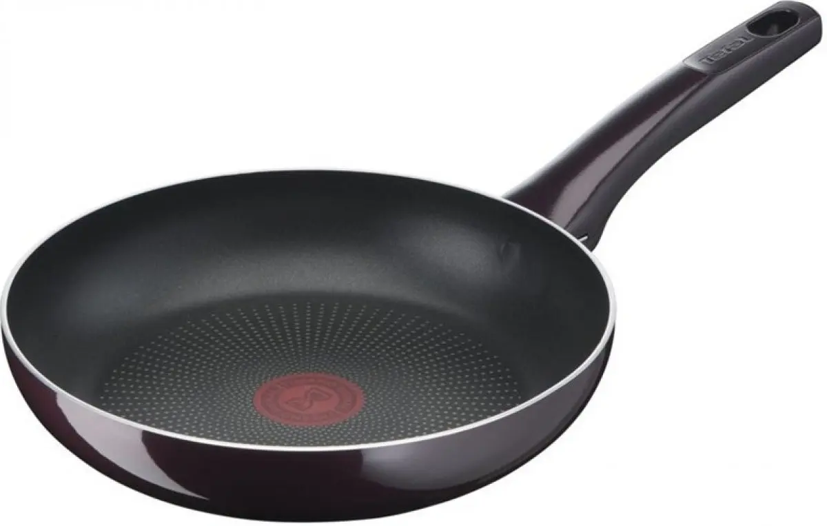 D5220483 RESIST INTENSE PÁNEV 24CM TEFAL