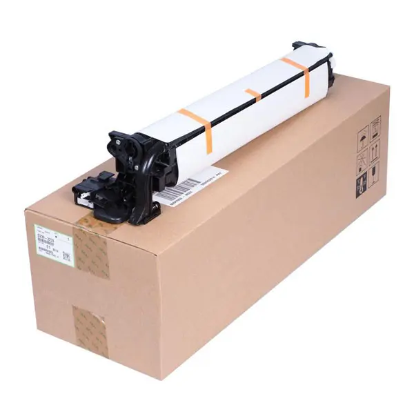 RICOH D2392239 - originální