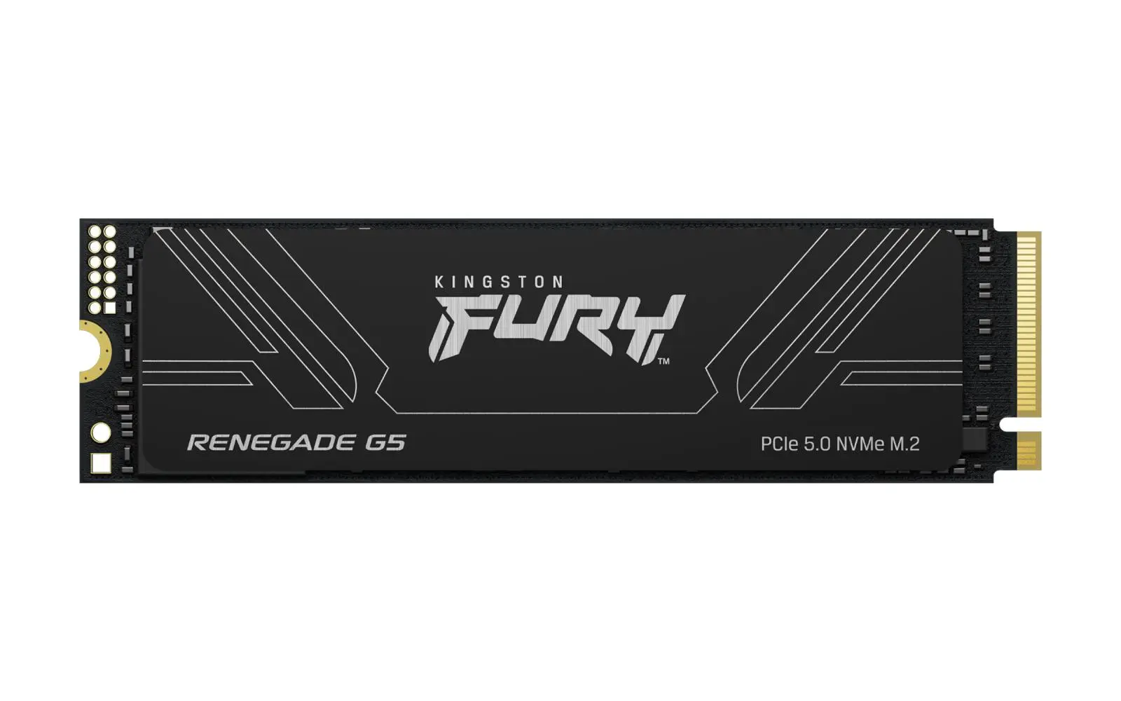 Kingston Fury Renegade G5/1TB/SSD/M.2 NVMe/Černá/Heatsink/5R