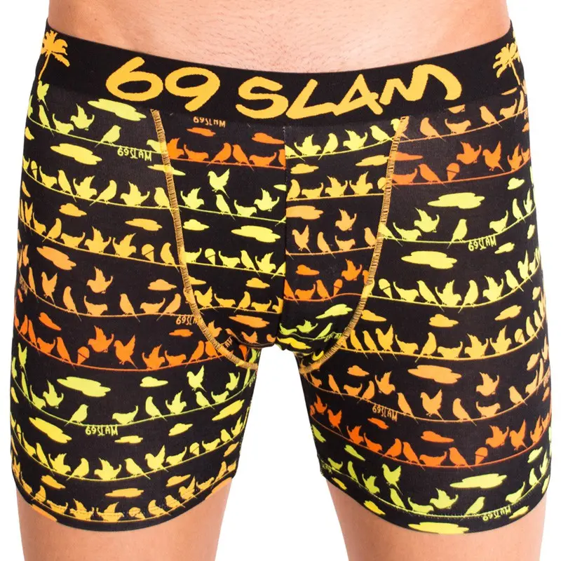 Pánské boxerky 69SLAM fit bamboo bird (MPBBDL-BB)
