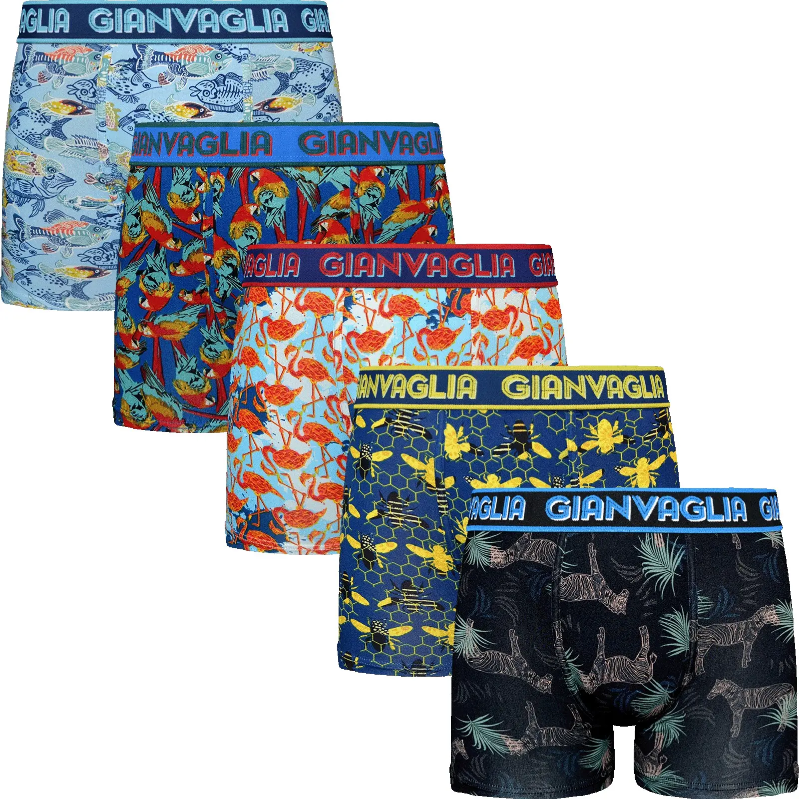 5PACK pánské boxerky Gianvaglia vícebarevné (GVG-5066)