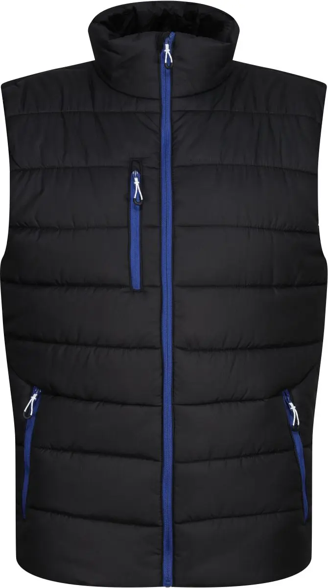Thermo vesta "Navigate" - black/new royal