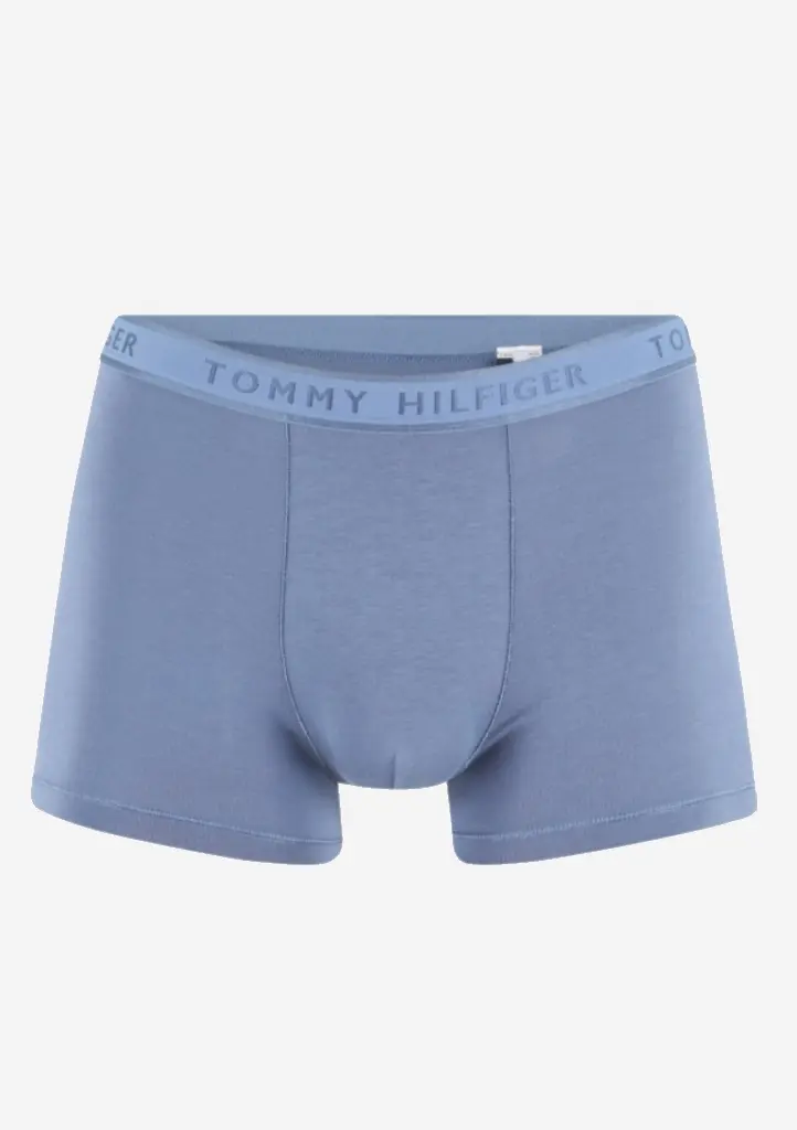 Pánské boxerky Tommy Hilfiger UM0UM02333