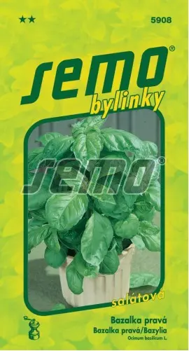 SEMO Bazalka pravá Lettuce Leaf