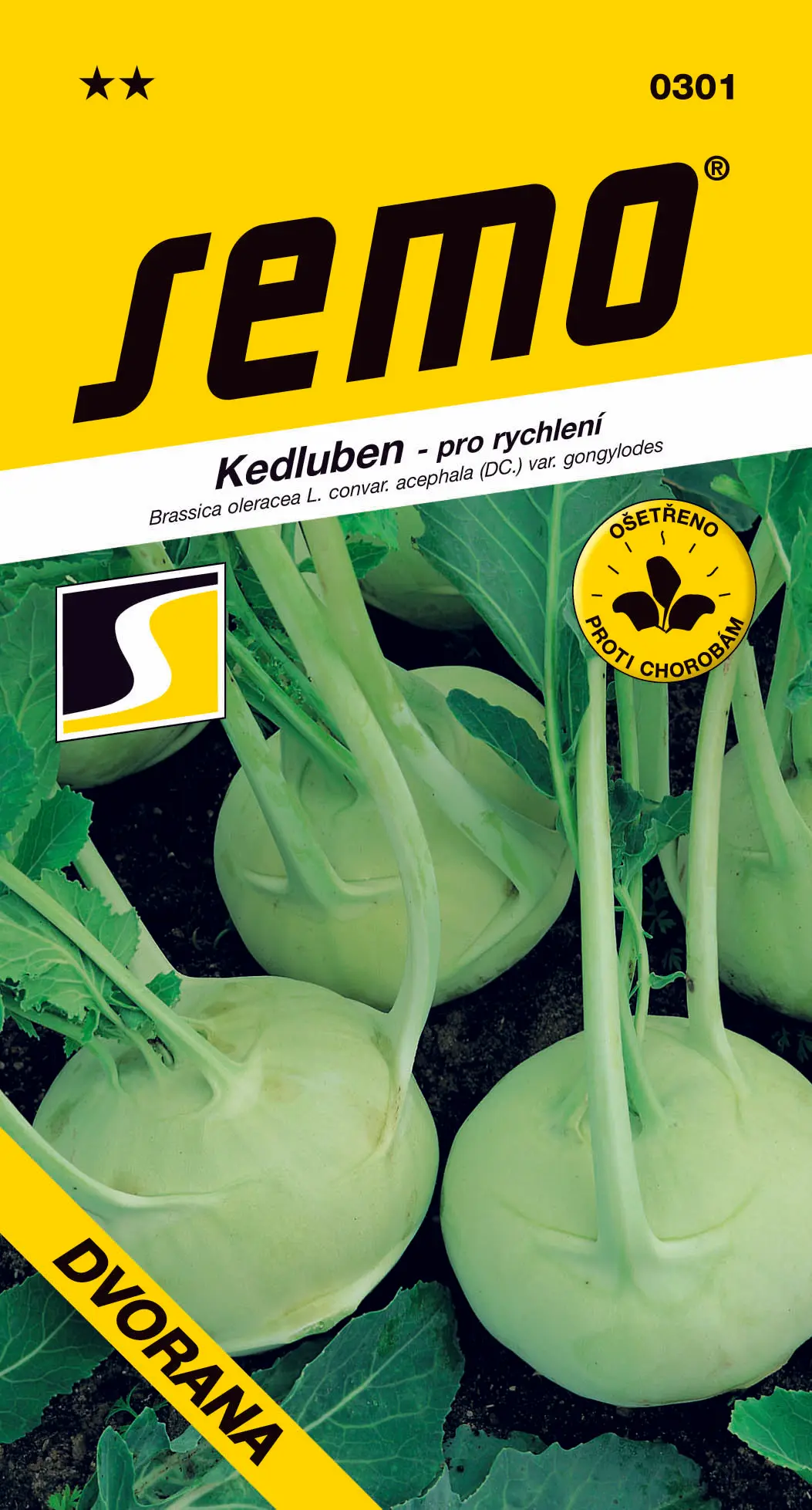 SEMO Kedluben Dvorana